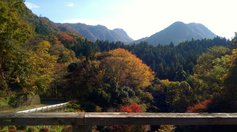 f:id:yoshi_skywalker:20201117230136j:plain