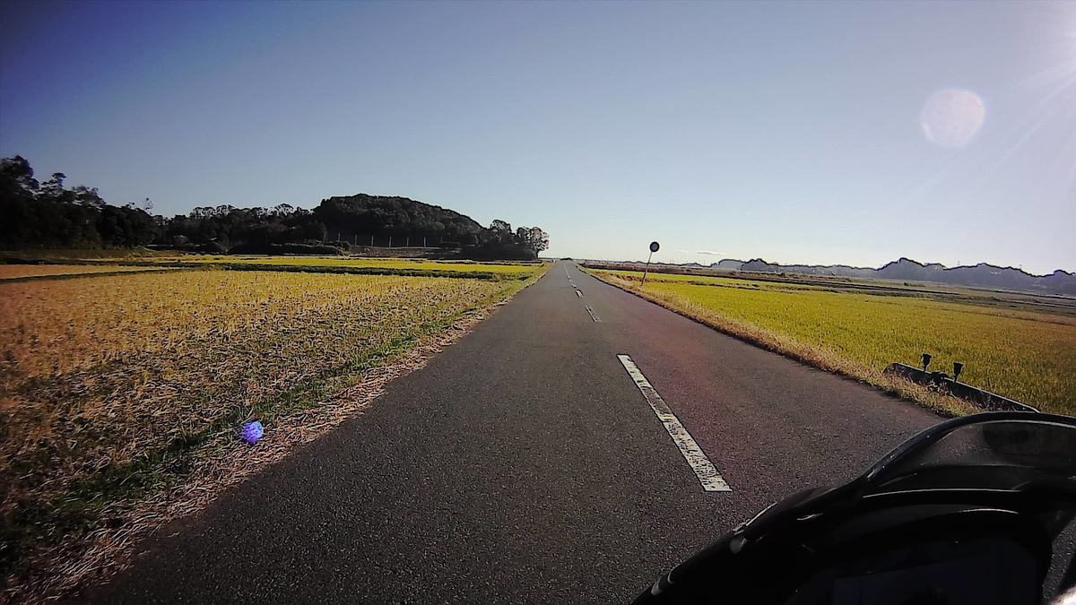 f:id:yoshi_skywalker:20201124230930j:plain