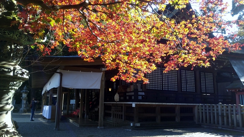 f:id:yoshi_skywalker:20201124231259j:plain