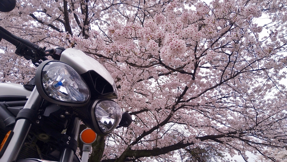 f:id:yoshi_skywalker:20210405235508j:plain