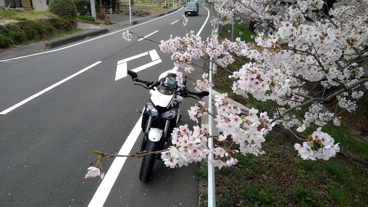 f:id:yoshi_skywalker:20210405235654j:plain