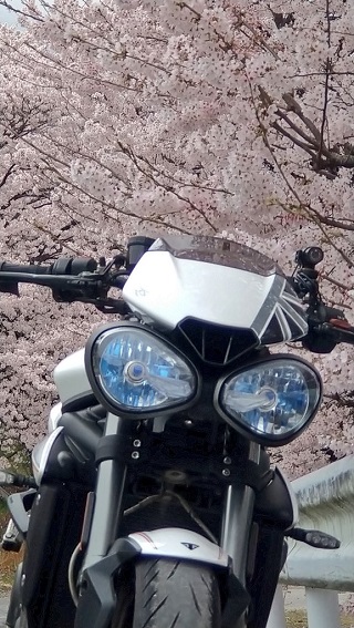 f:id:yoshi_skywalker:20210406000155j:plain