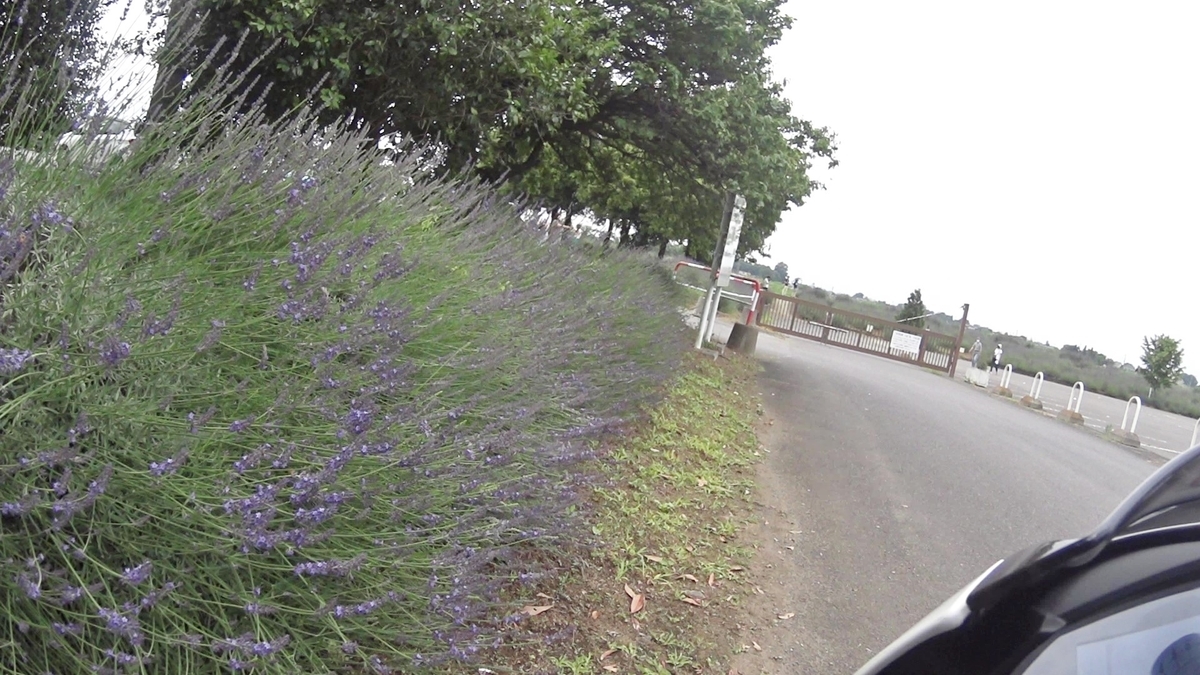 f:id:yoshi_skywalker:20210618231842j:plain