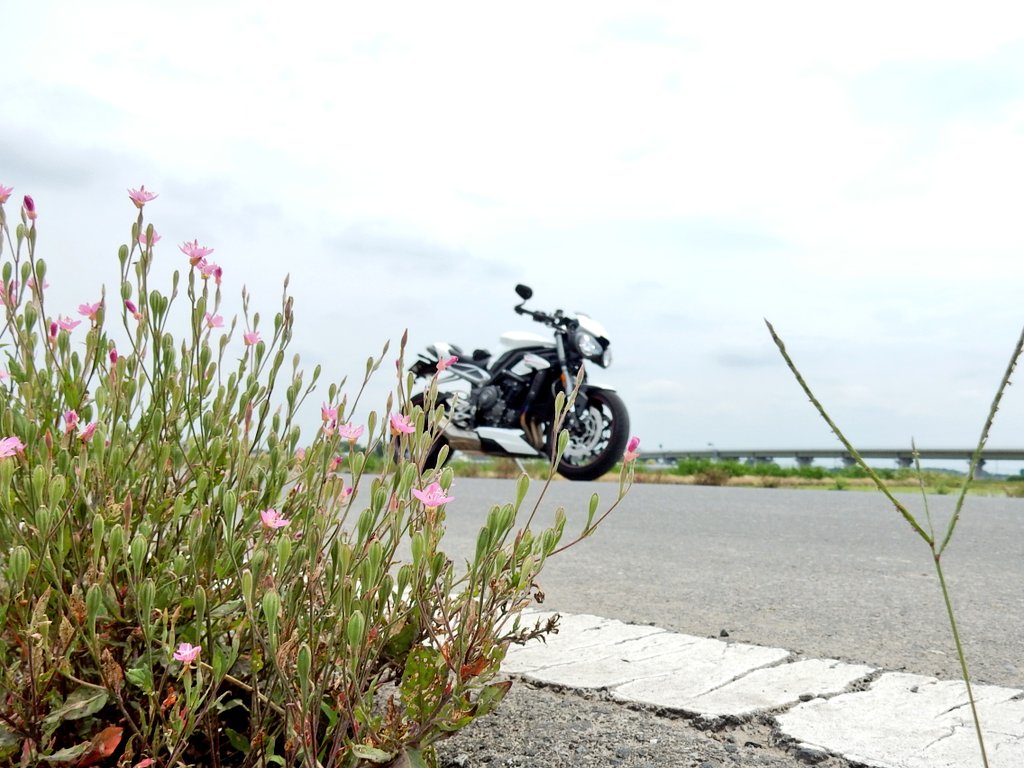 f:id:yoshi_skywalker:20210618233607j:plain