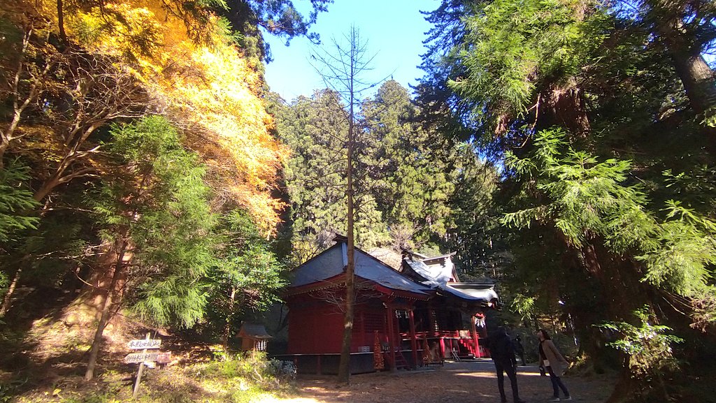 f:id:yoshi_skywalker:20211201214246j:plain