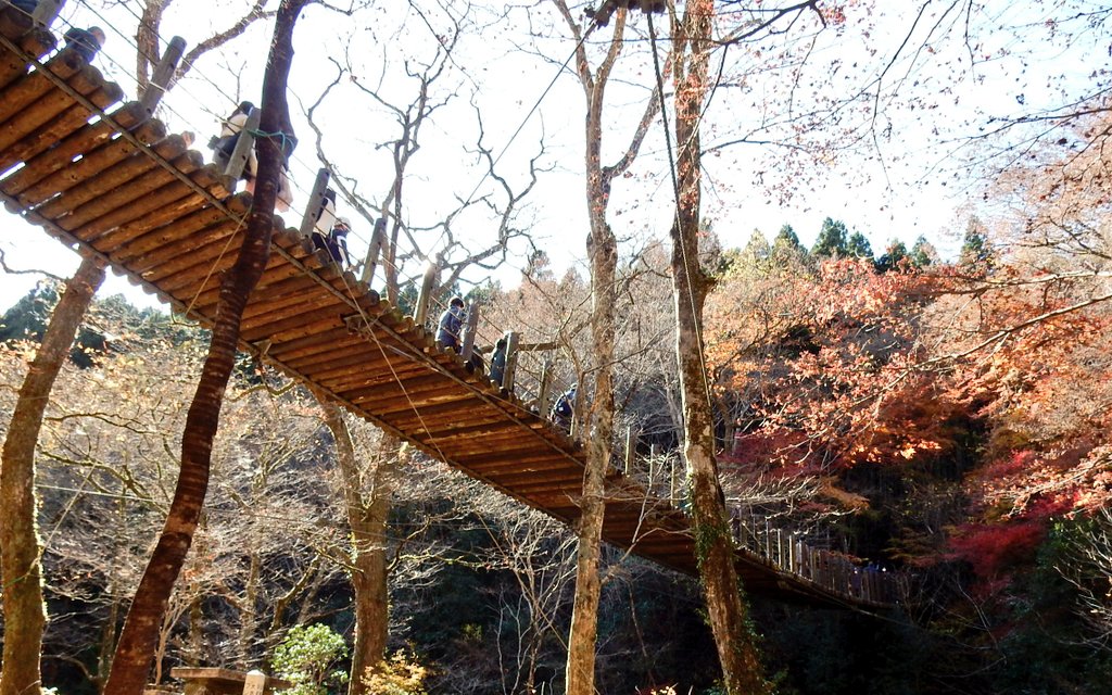 f:id:yoshi_skywalker:20211201215400j:plain