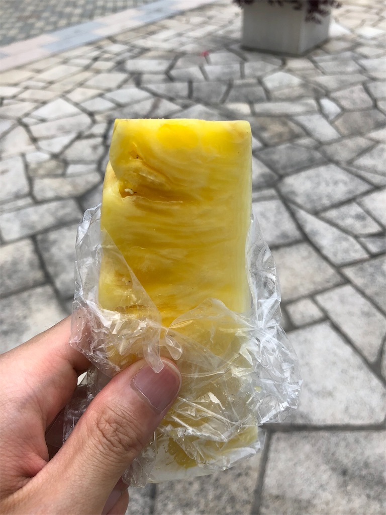 f:id:yoshi_travel14:20180821205404j:image f:id:yoshi_travel14:20180821205404j:image