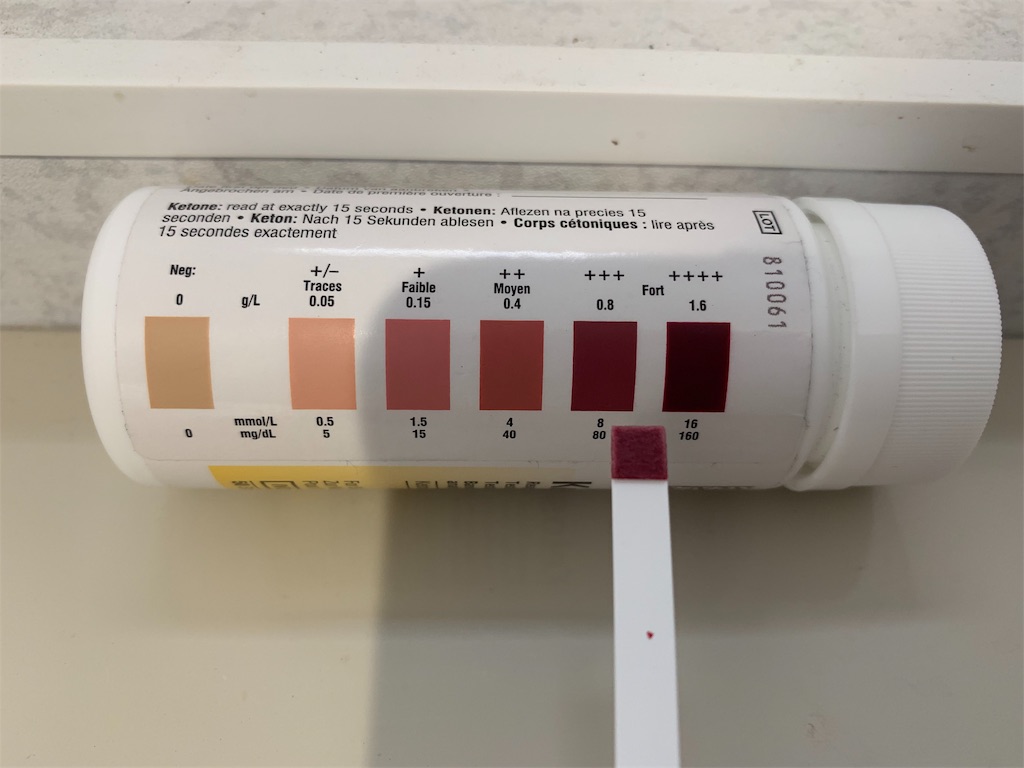 f:id:yoshiaki_diet:20190705134735j:image