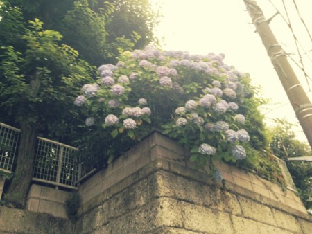 f:id:yoshicoffin:20140621180948j:image:w360 f:id:yoshicoffin:20140621180948j:image:w360