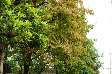 f:id:yoshicom:20080919073334j:image