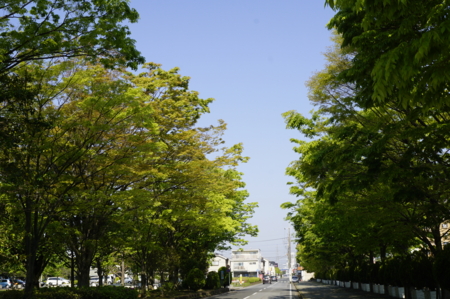 f:id:yoshicom:20170501221101j:image f:id:yoshicom:20170501221101j:image