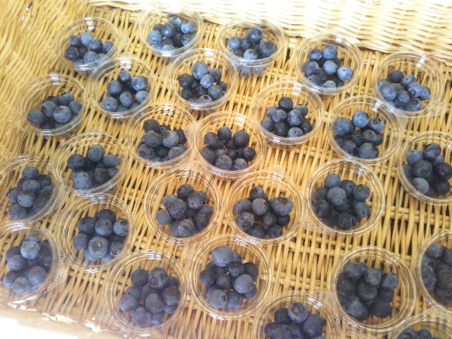 f:id:yoshida-fruit:20180820235500j:image f:id:yoshida-fruit:20180820235500j:image
