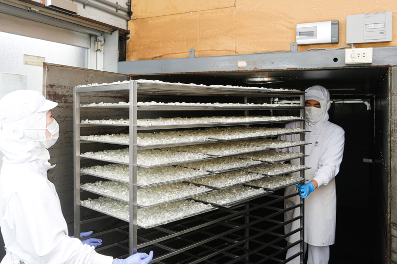 f:id:yoshida-yumi:20210706131920j:plain