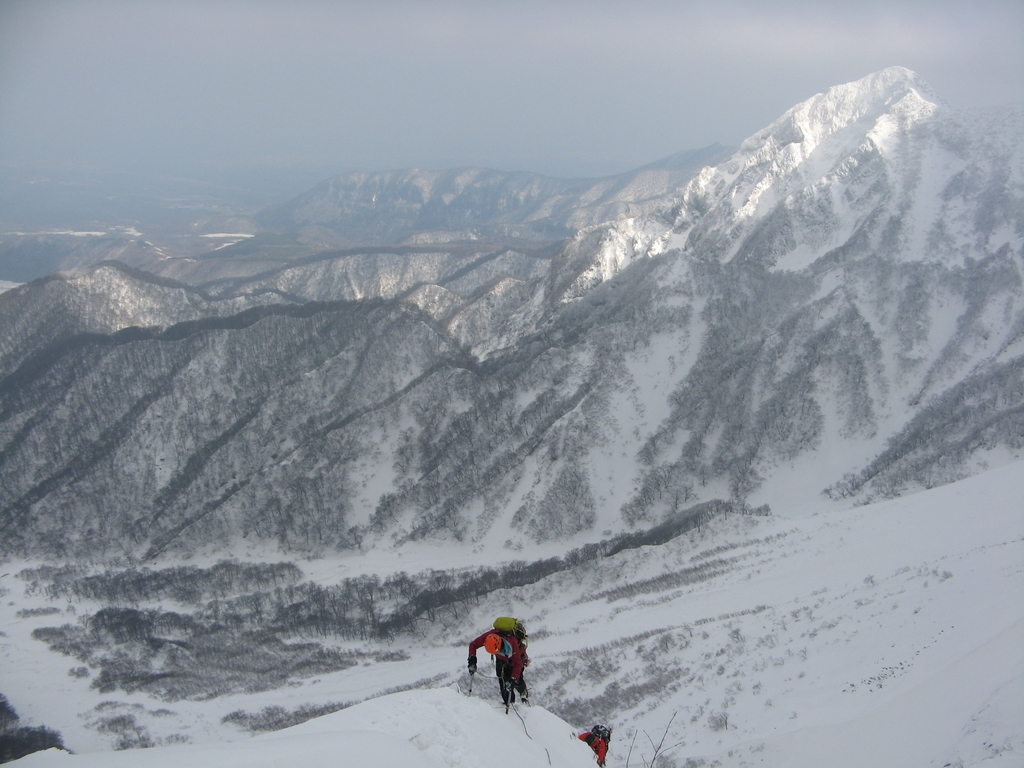 f:id:yoshida1487:20190128133633j:plain