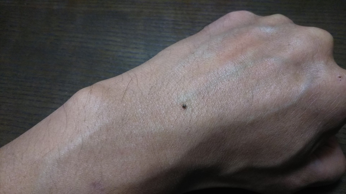 f:id:yoshida1487:20191027121810j:plain f:id:yoshida1487:20191027121810j:plain