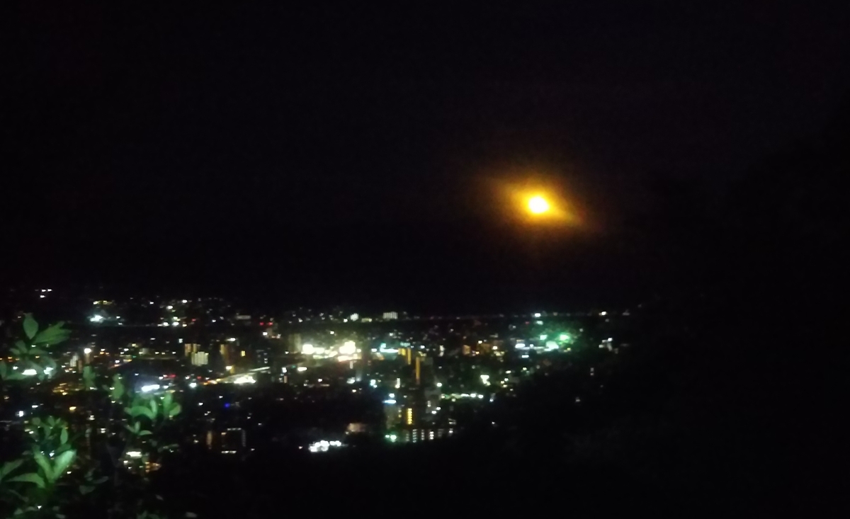 f:id:yoshida1487:20210726121133j:plain