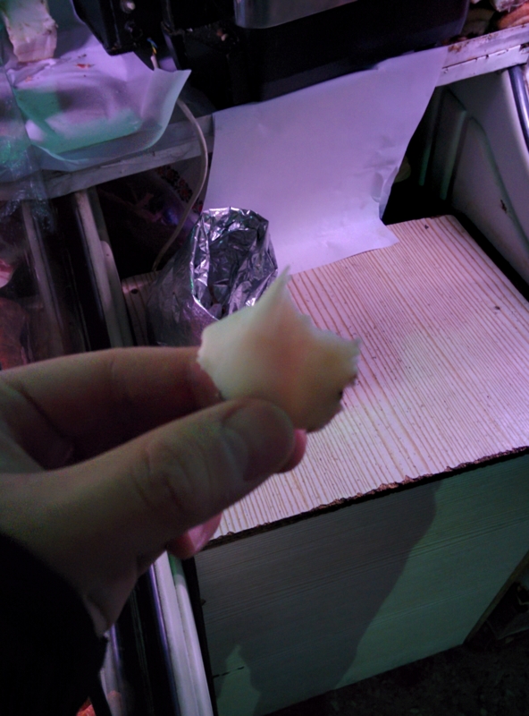 f:id:yoshida_lab:20151230232504j:plain f:id:yoshida_lab:20151230232504j:plain