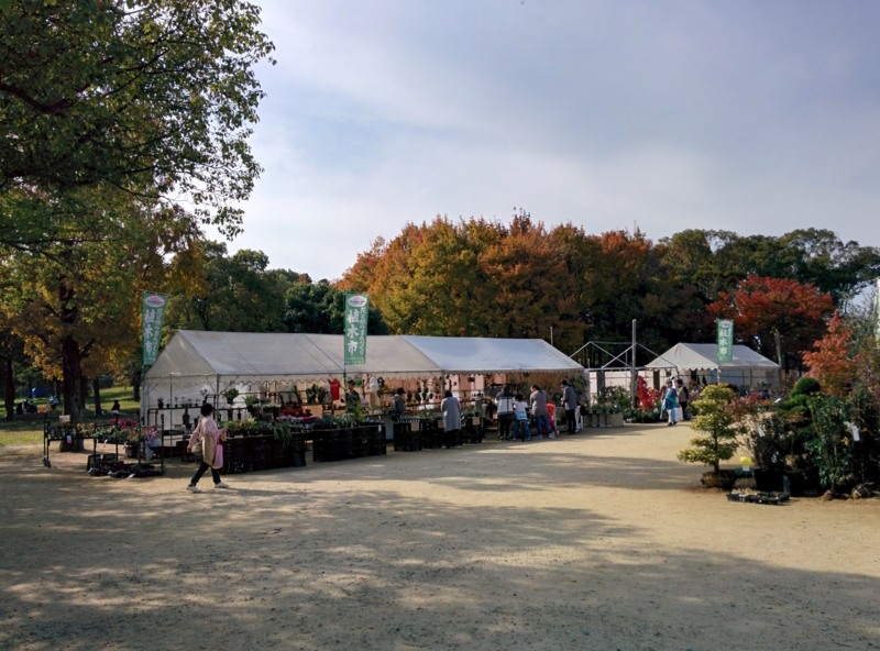 大阪秋の植木市 植木屋21さんのブースに行ってきた Yoshida Lab S Blog