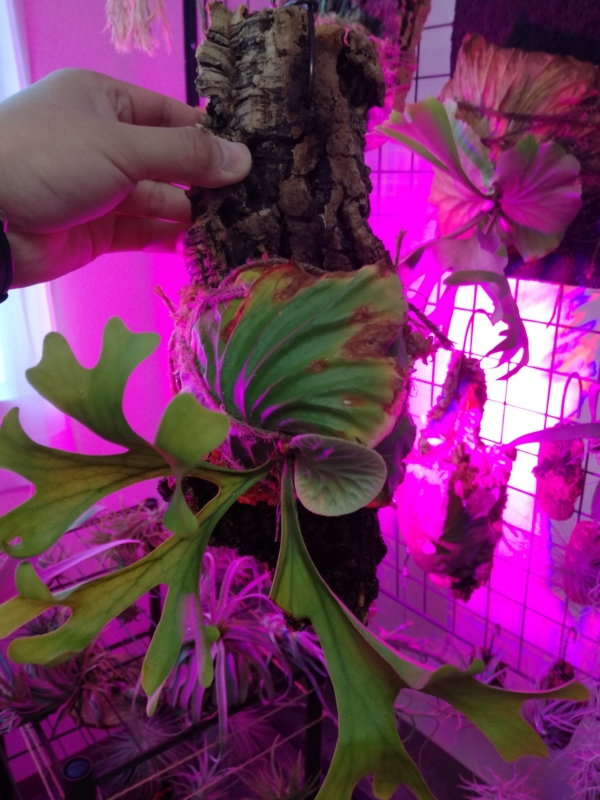 f:id:yoshida_lab:20170212082810j:plain