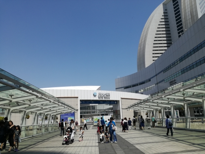 都内でヘゴ板を買うならここ 共和開発の園芸資材が最強すぎる Yoshida Lab S Blog