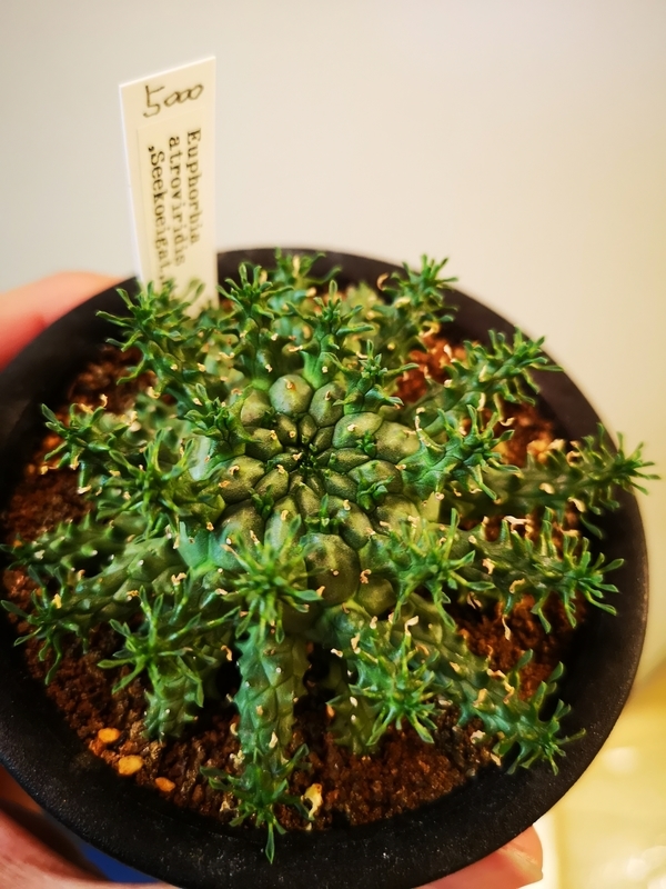 f:id:yoshida_lab:20181214085215j:plain f:id:yoshida_lab:20181214085215j:plain