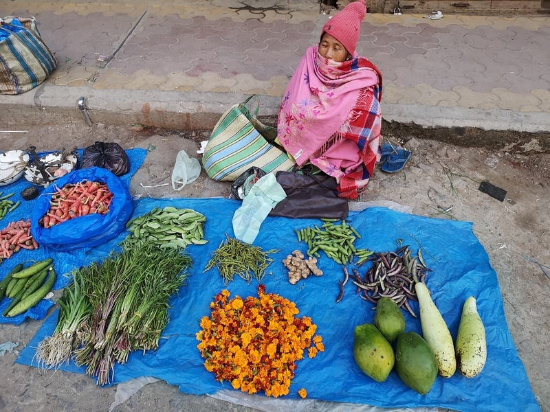 f:id:yoshida_lab:20190129212924j:plain