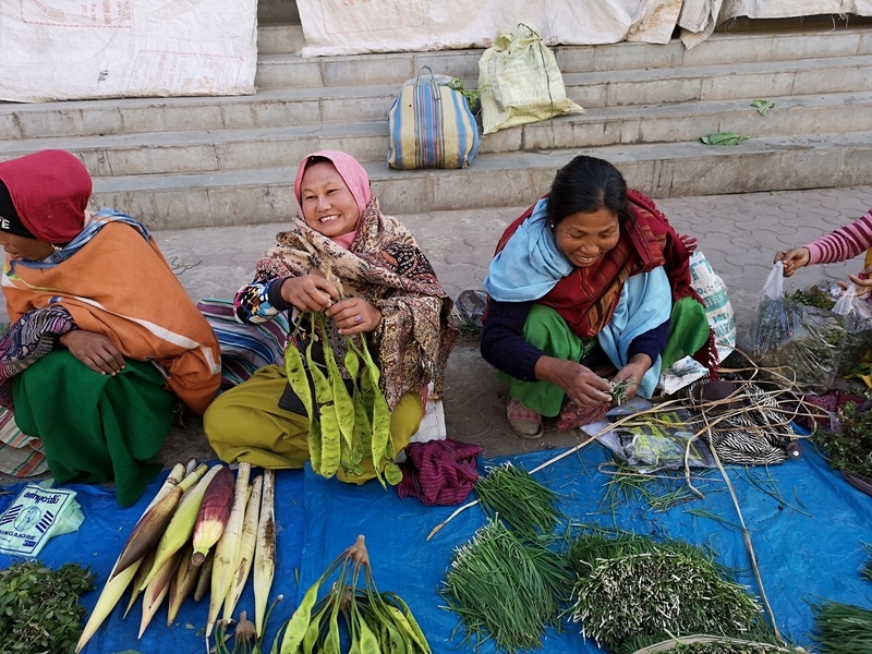 f:id:yoshida_lab:20190129212926j:plain