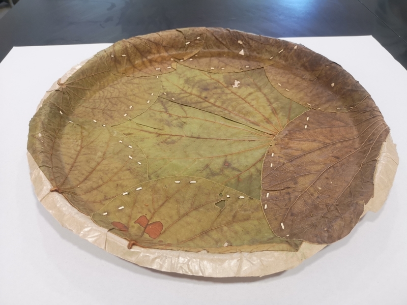 f:id:yoshida_lab:20190615140440j:plain f:id:yoshida_lab:20190615140440j:plain