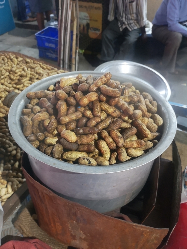 f:id:yoshida_lab:20190615210035j:plain