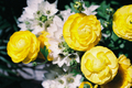 [New York][Travel][flowers]Ranunculus