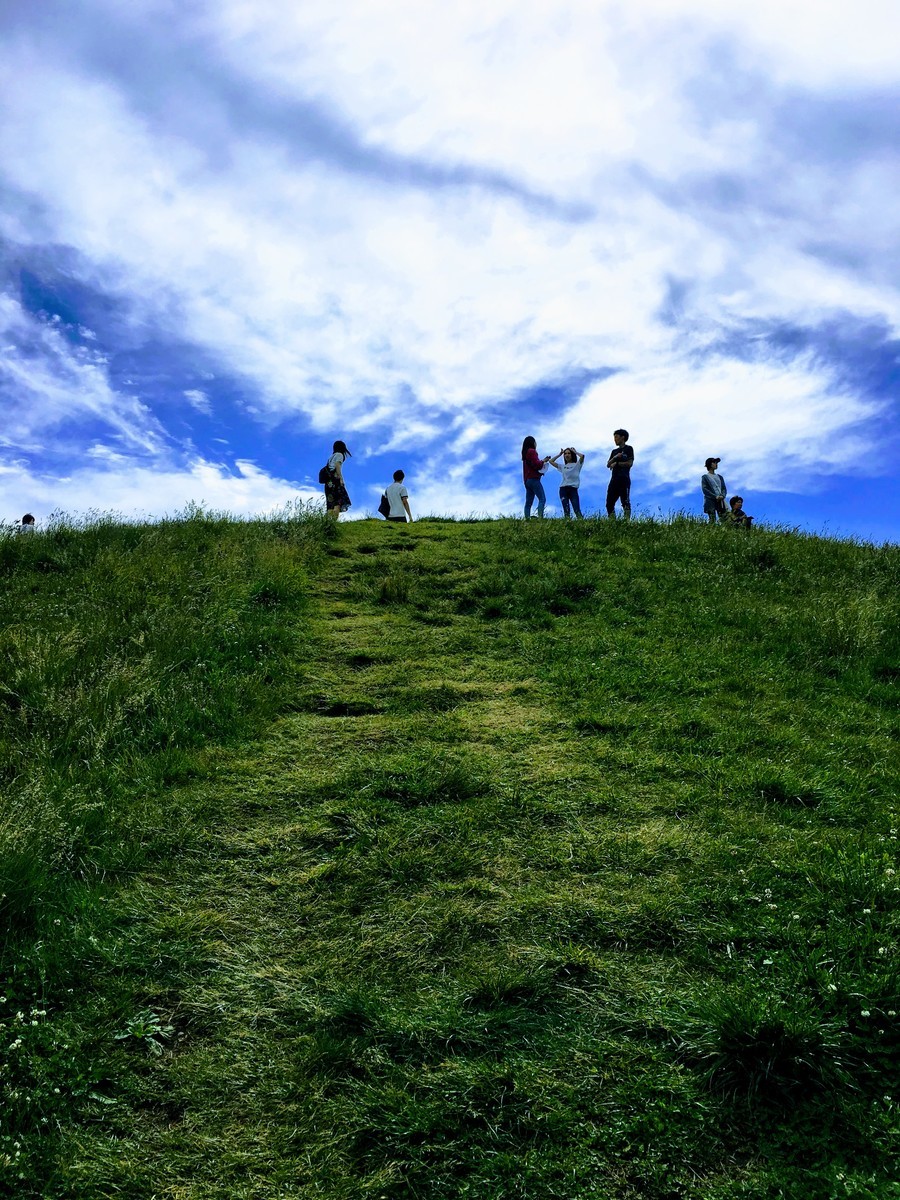 f:id:yoshidaagri:20190623145144j:plain f:id:yoshidaagri:20190623145144j:plain