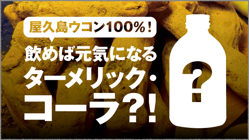 f:id:yoshidaya100:20210208155440j:plain