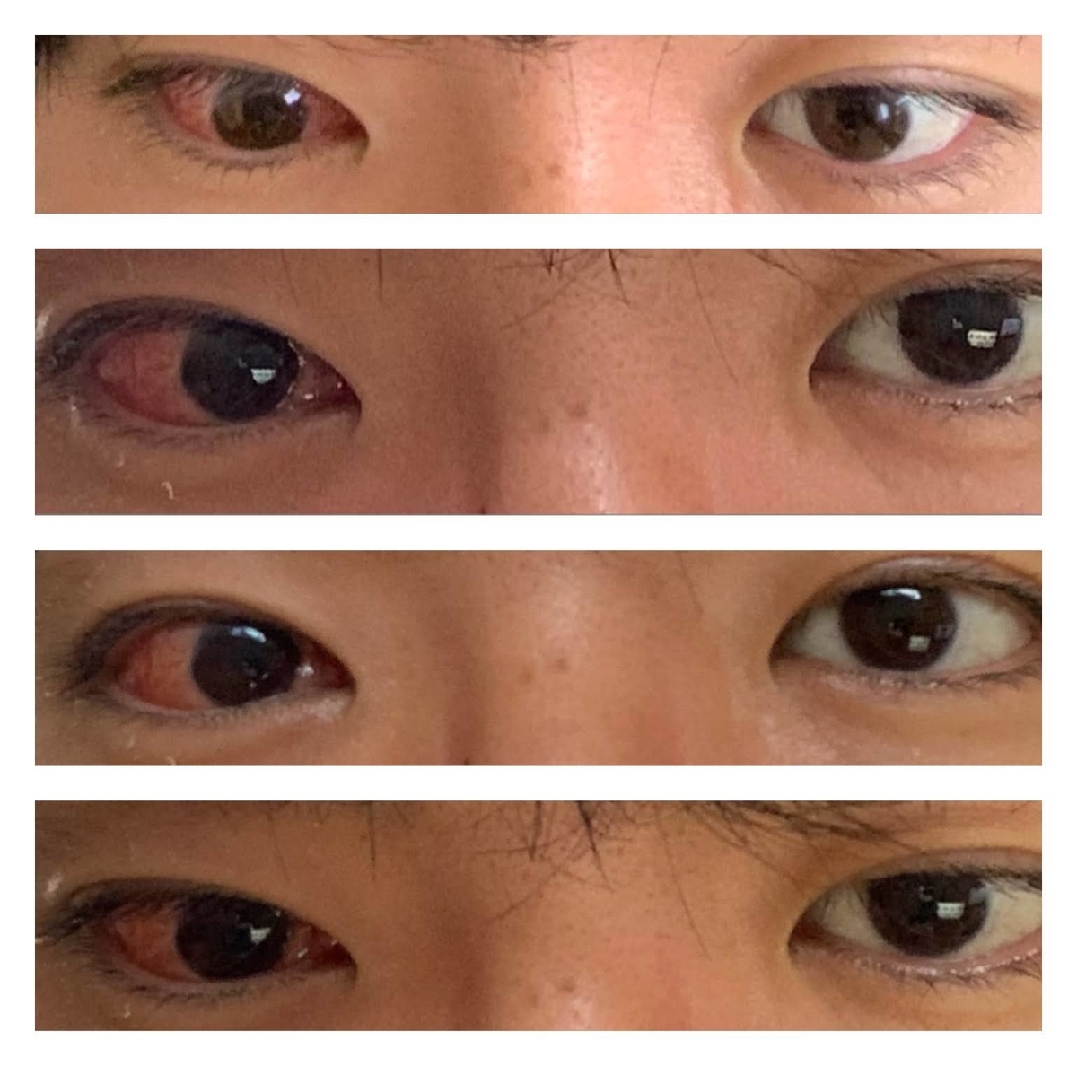 f:id:yoshifumish:20201212190714j:plain