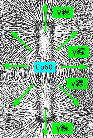 f:id:yoshihide-sugiura:20200416065251p:plain f:id:yoshihide-sugiura:20200416065251p:plain