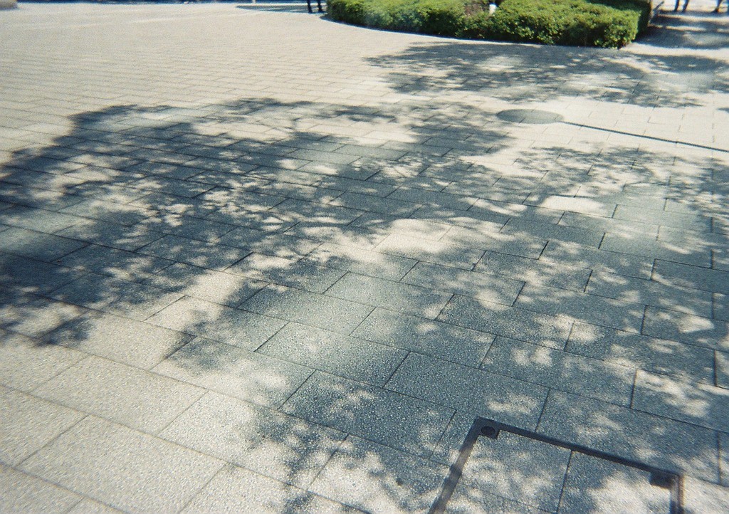 Lomography（ロモグラフィー） Simple Use Film Camera作例