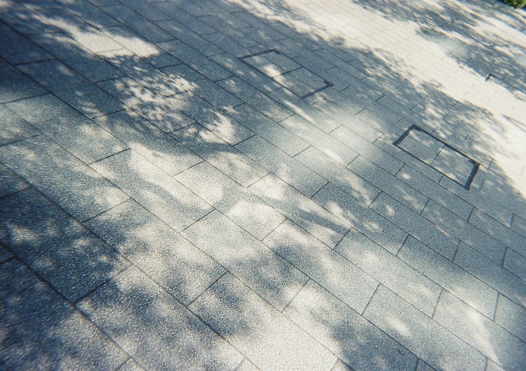 LomographyのSimple Use Film Camera