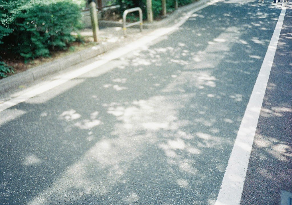 Lomography LOMO LC-A＋で撮った写真6