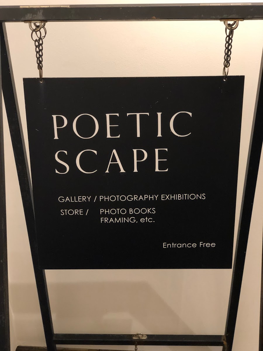 POETIC SCAPEに大橋愛さんの個展、大橋愛展「arche」を見に行ったお話