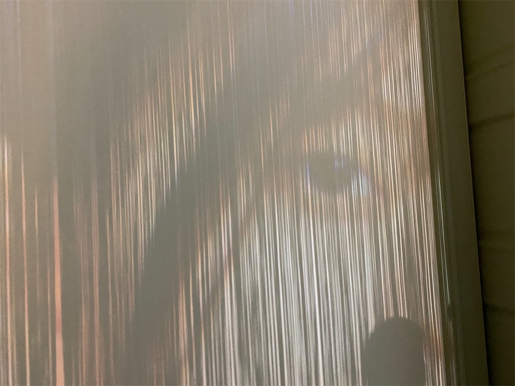 f:id:yoshihiro1105:20210913012010j:image 「春夏秋冬/フォーシーズンズ 乃木坂46」展の斎藤飛鳥さん