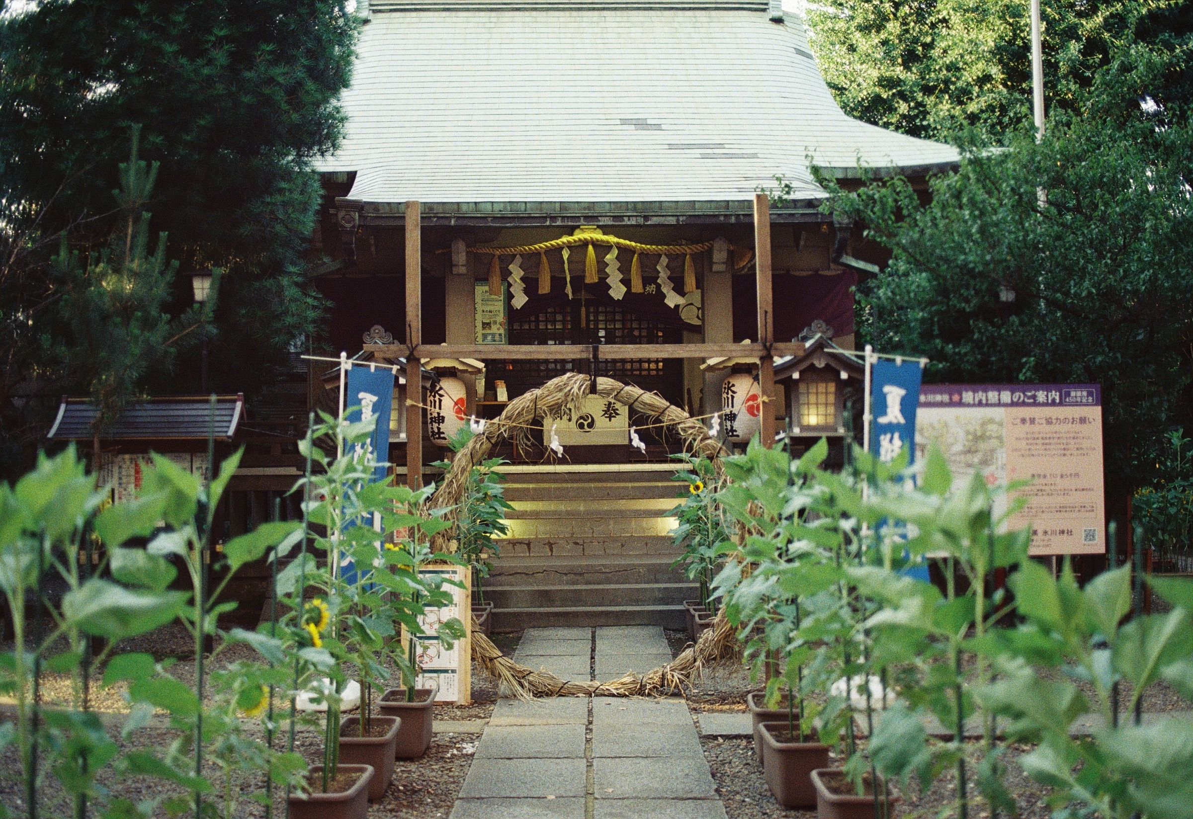 OLYMPUS OM-2で撮った写真