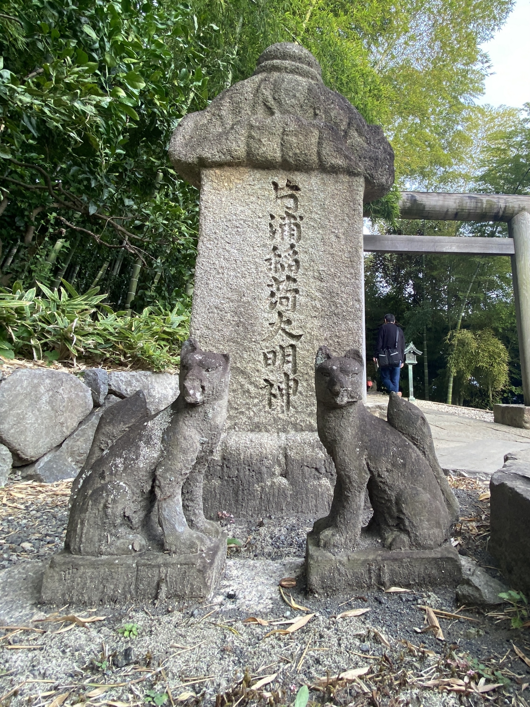 小田原にある杉本博司さんの江之浦測候所へ6年ぶりに行ってきた