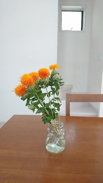 f:id:yoshikamama:20200620202532j:image f:id:yoshikamama:20200620202532j:image