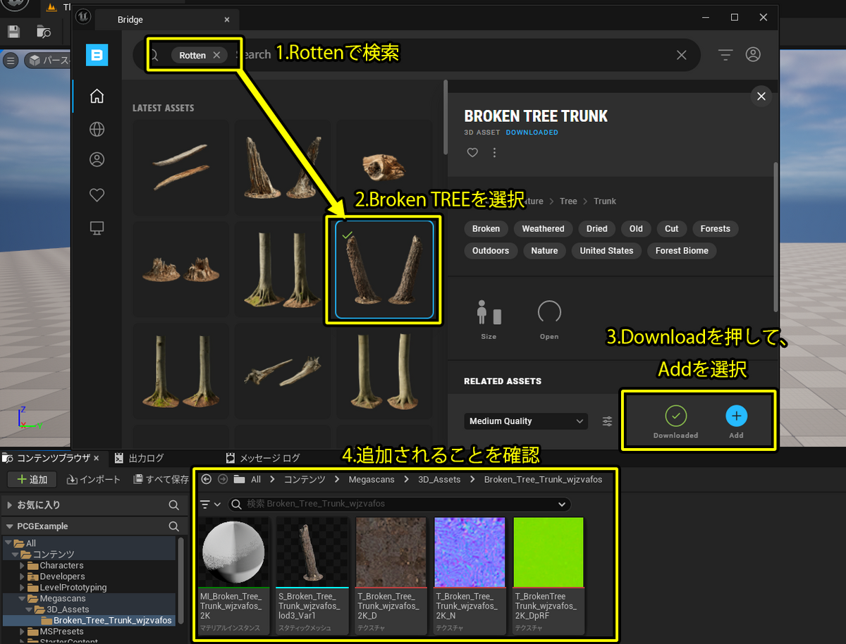 木のモデルをMegascansからダウンロード