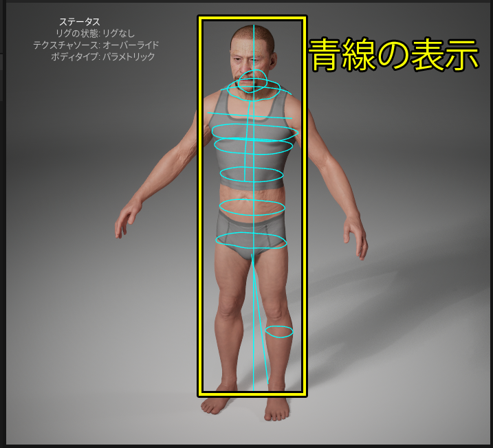 変更箇所の表示設定