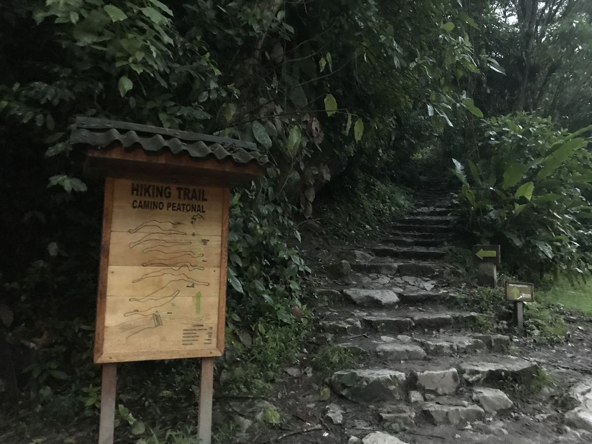 f:id:yoshiki101379:20190404124113j:plain f:id:yoshiki101379:20190404124113j:plain