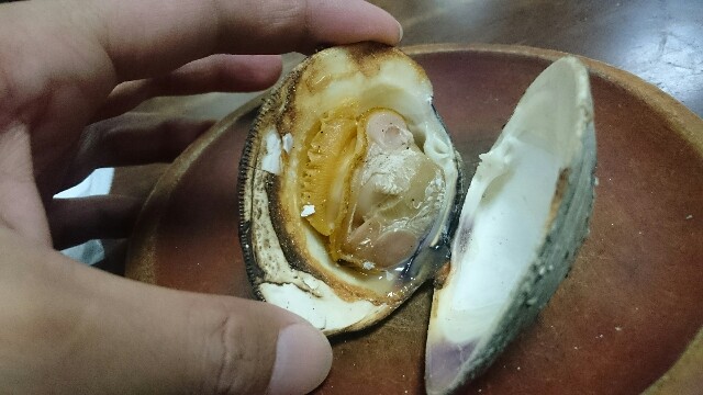 f:id:yoshikixx:20161220195711j:image