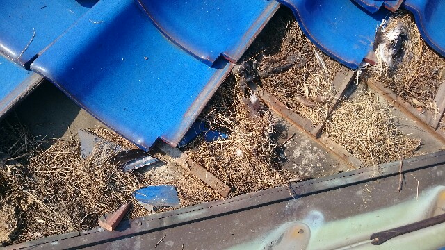 f:id:yoshikixx:20171217065931j:image f:id:yoshikixx:20171217065931j:image