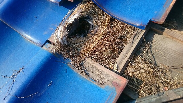 f:id:yoshikixx:20171217070020j:image f:id:yoshikixx:20171217070020j:image