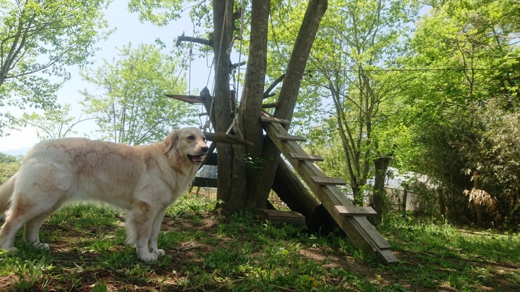 f:id:yoshikixx:20180430105410j:plain f:id:yoshikixx:20180430105410j:plain