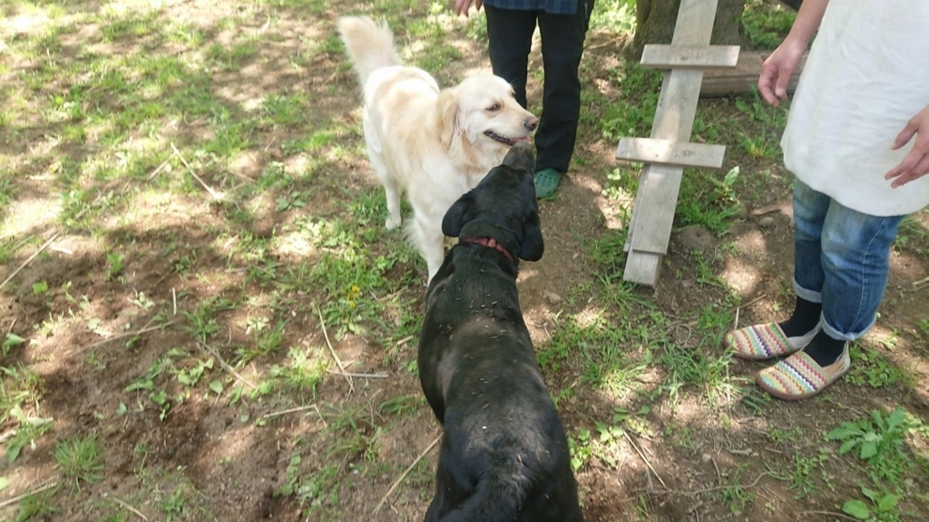 f:id:yoshikixx:20180430105629j:plain f:id:yoshikixx:20180430105629j:plain